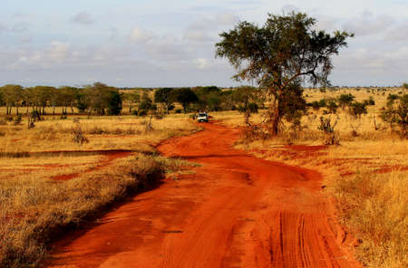 PARCO TSAVO  OVEST & TSAVO EST (privato)